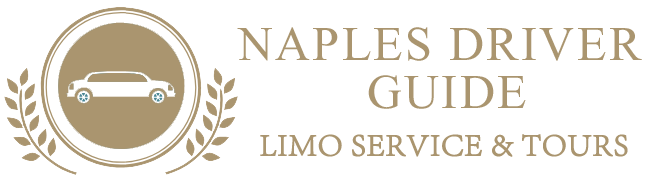 NAPLES DRIVER GUIDE COMPANY FOR TOURS AND TRANSFERS 